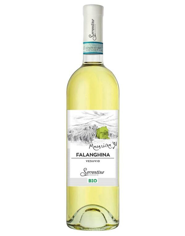 Falanghina